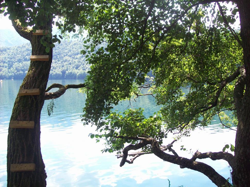 Free Image of Levico 