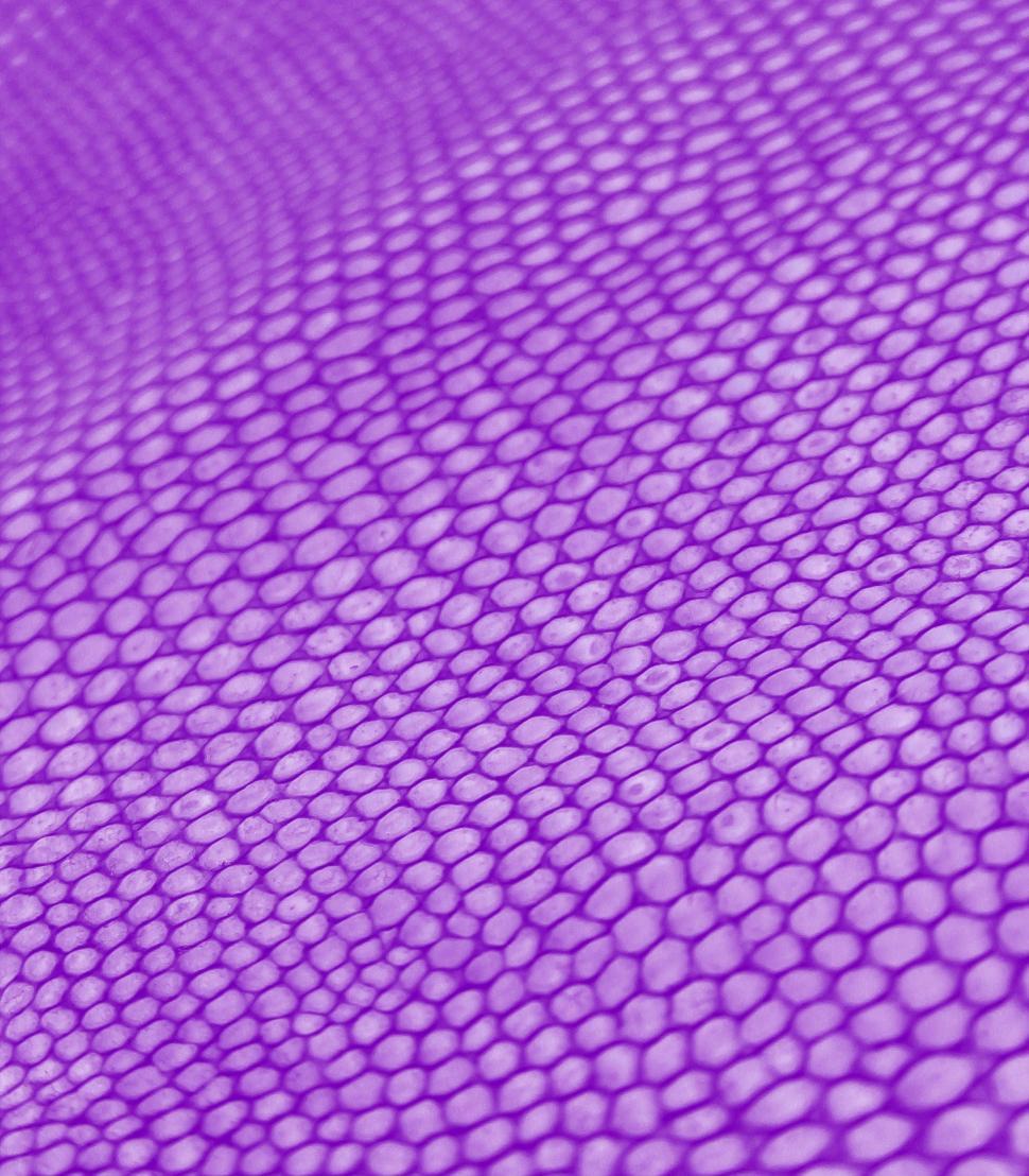 animal skin texture