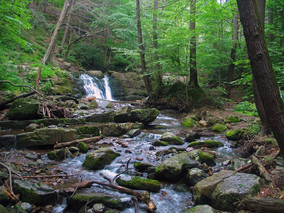 Dunnfield Creek Trail
