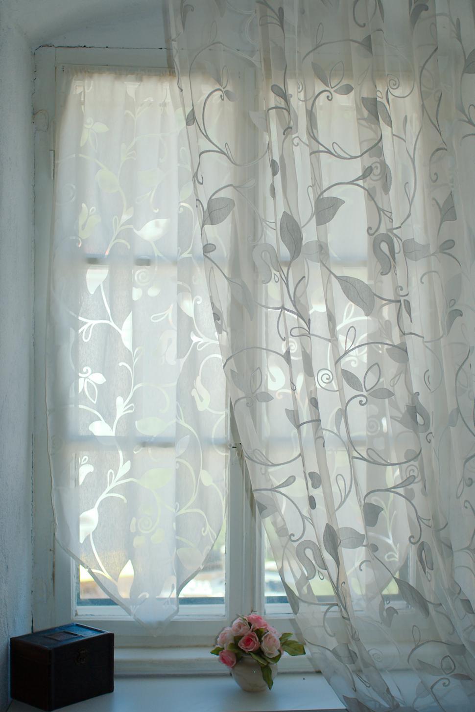Free Image of Window 