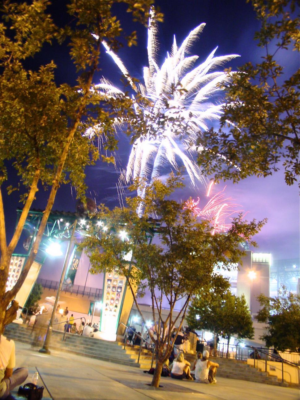 Free Image of Fireworks through the Trees 