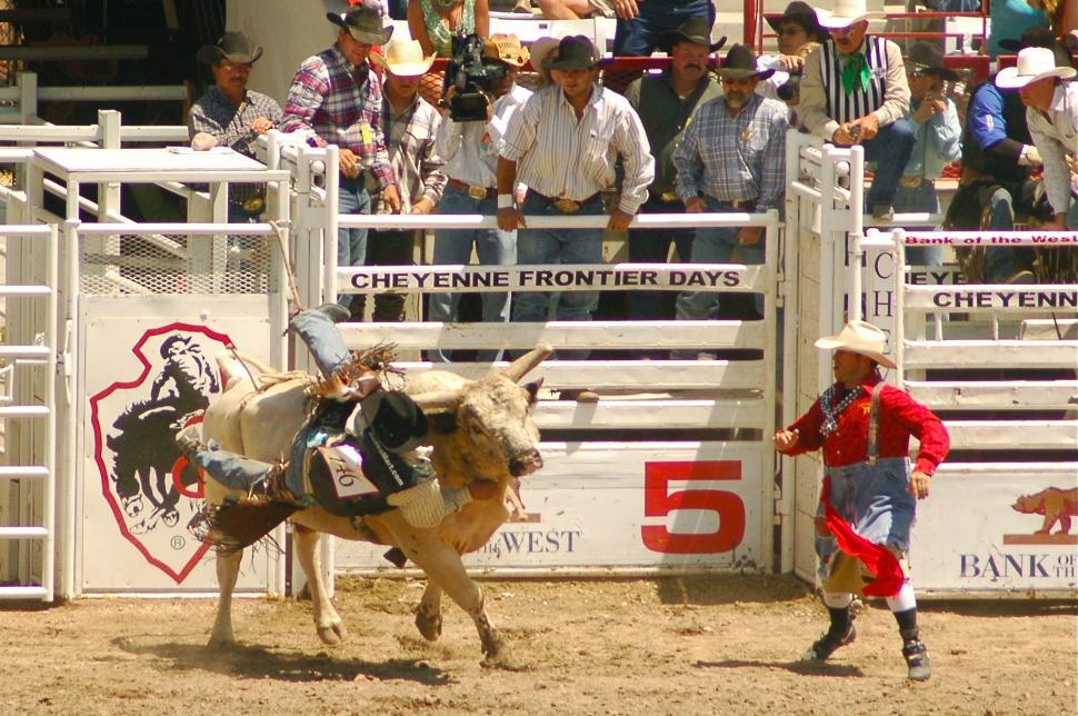 Free Stock Photo of Rodeo Crash | Download Free Images and Free ...
