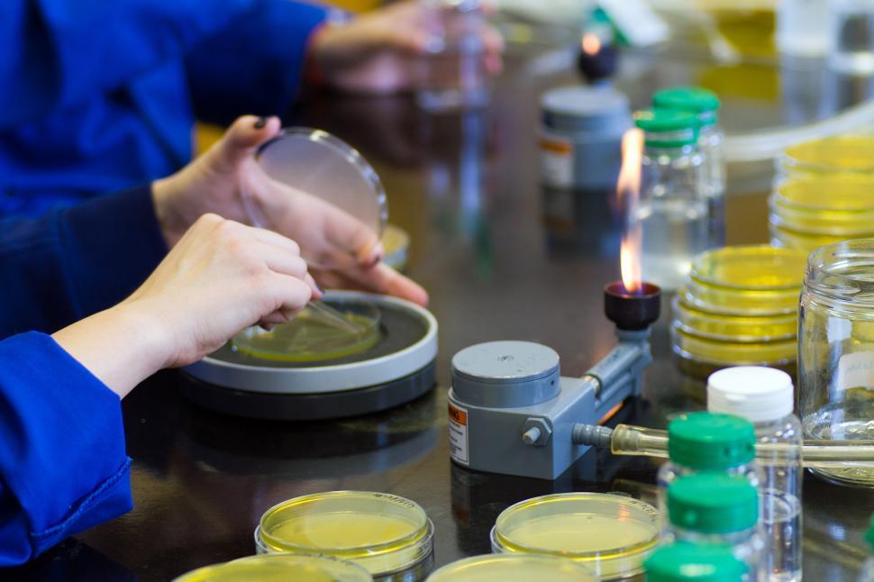 Free Image of Food safety 