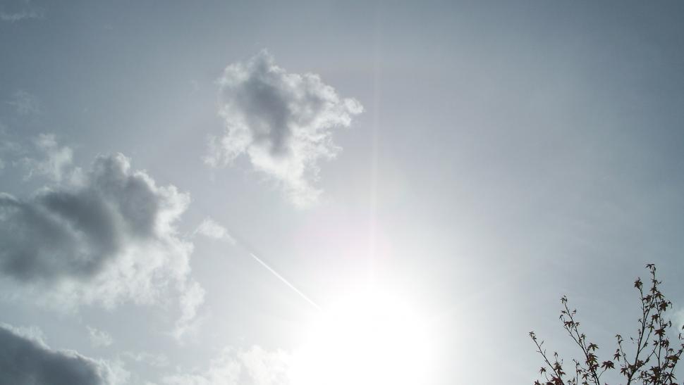 Free Image of Autumn sun 