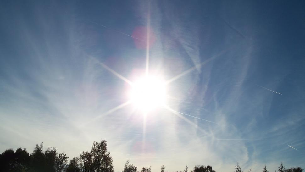 Free Image of Autumn sun 