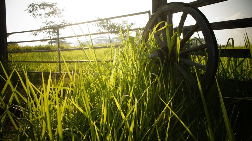 Free Image of Hawaiian Ranch 