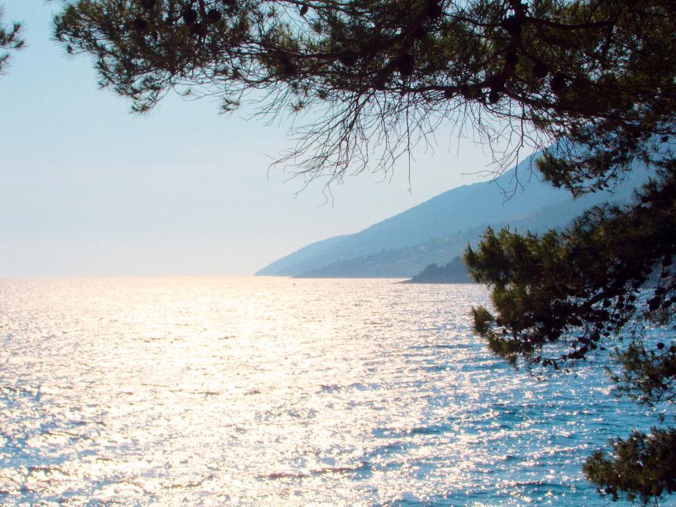 Free Image of The sea 