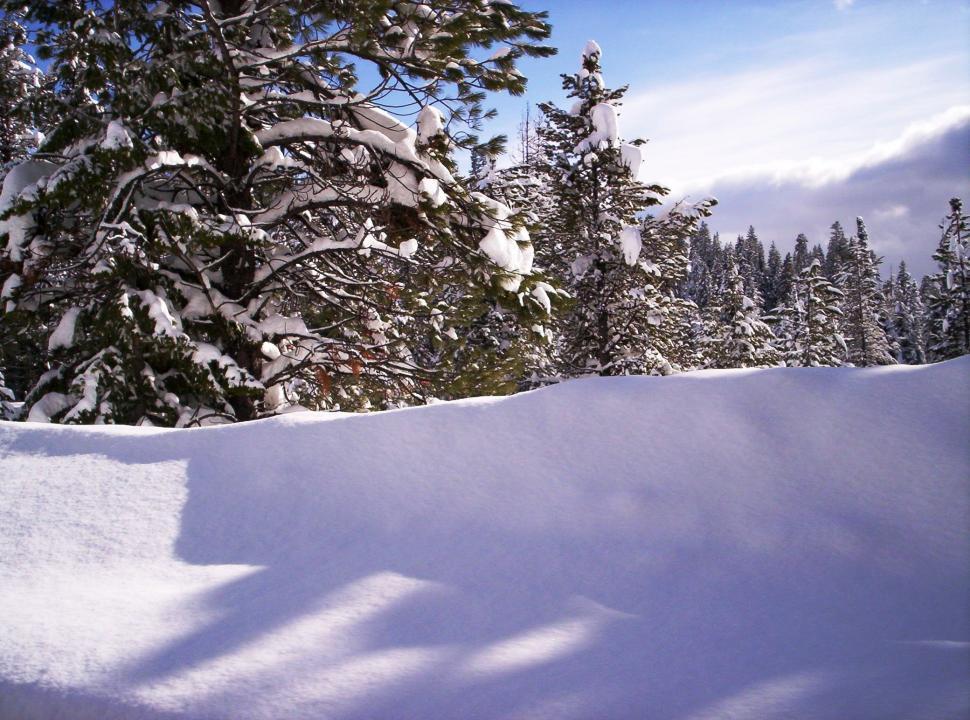Free Image of Mountaintop 