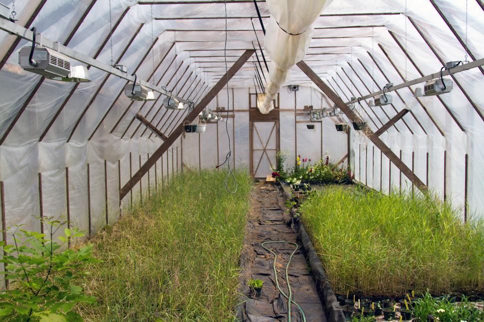 greenhouse.jpg
