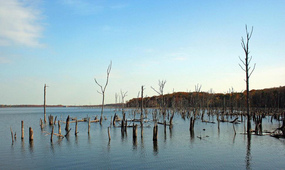 Free Stock Photo Of Manasquan Reservoir 