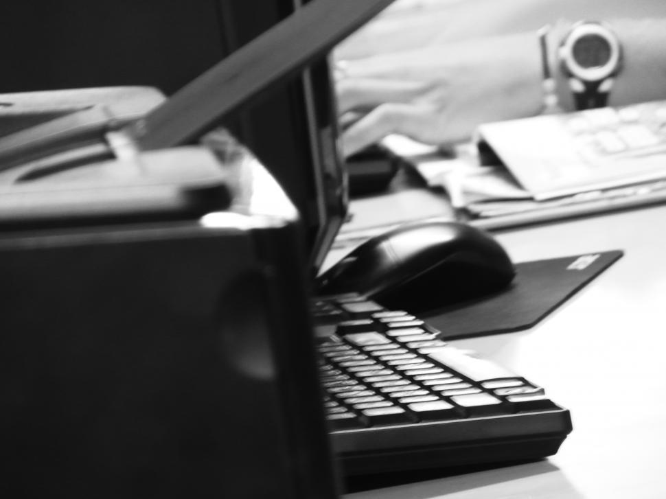 Free Stock Photo of Working on the Computer | Download Free Images and ...