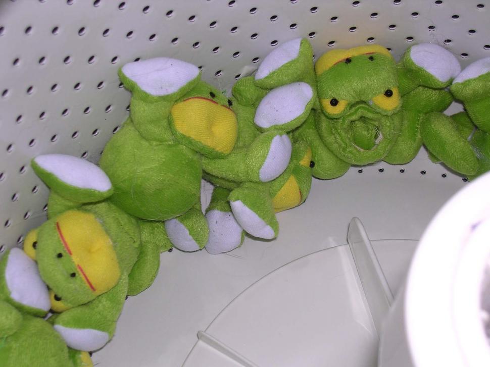 Free Stock Photo of Frog slipon floor protectors II Download Free