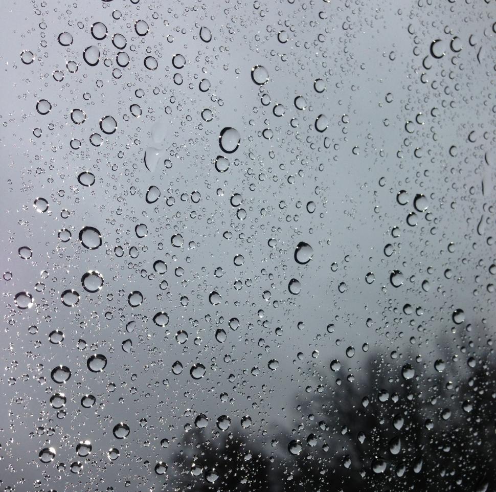 Free Stock Photo of Rain drops | Download Free Images and Free ...