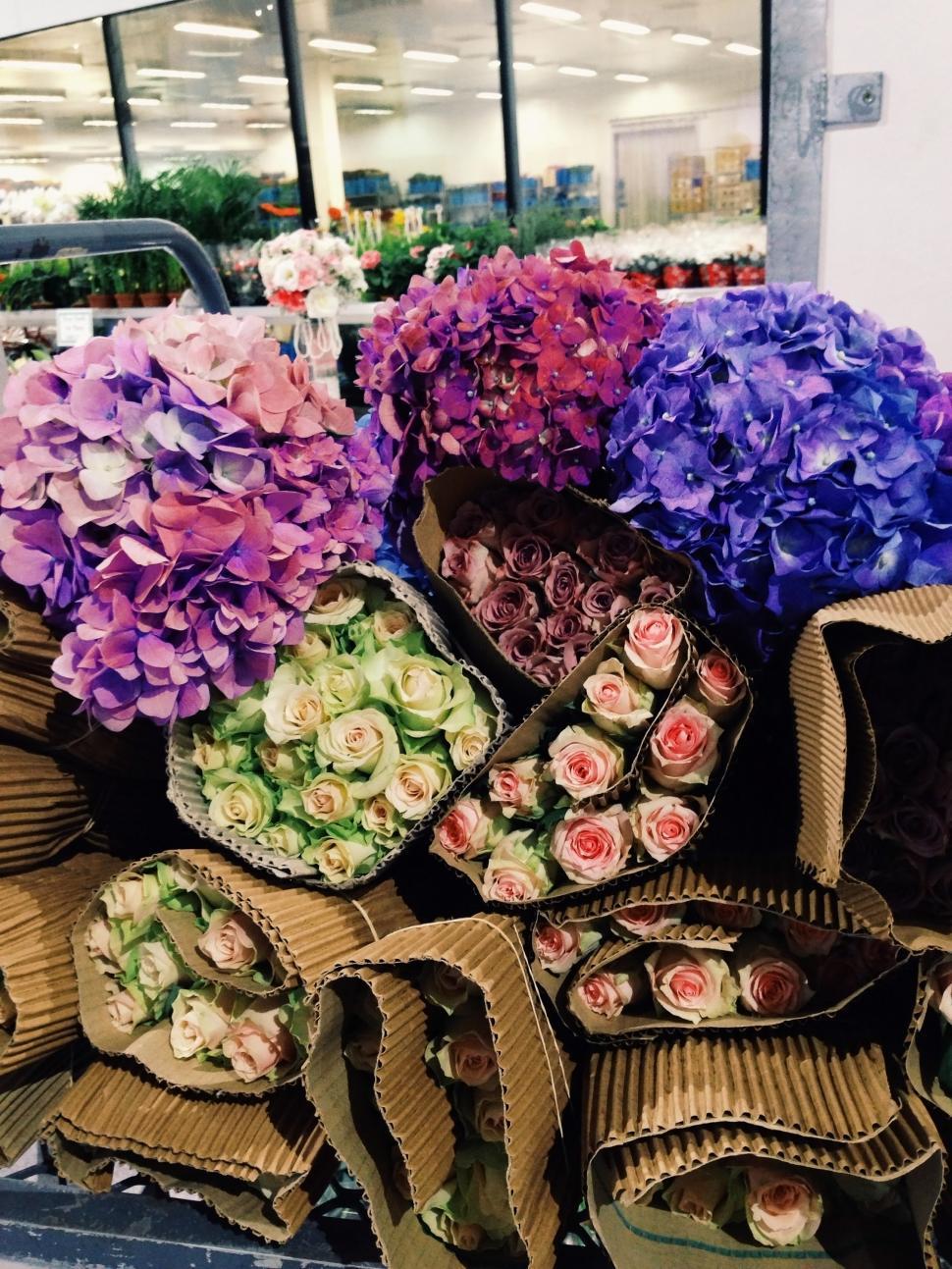 Free Image of Flowers 
