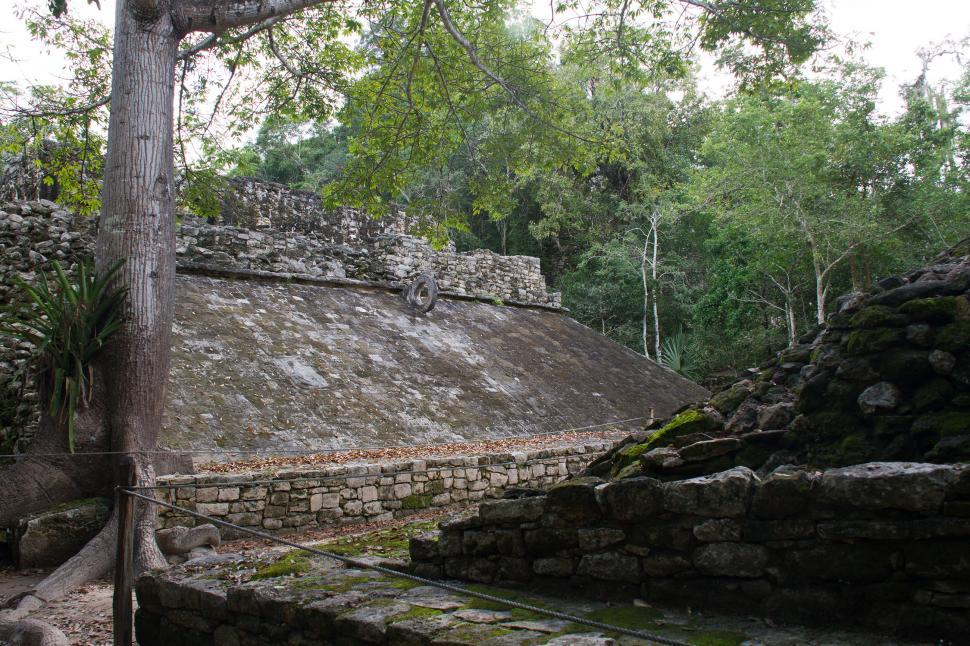Free Image of Coba 