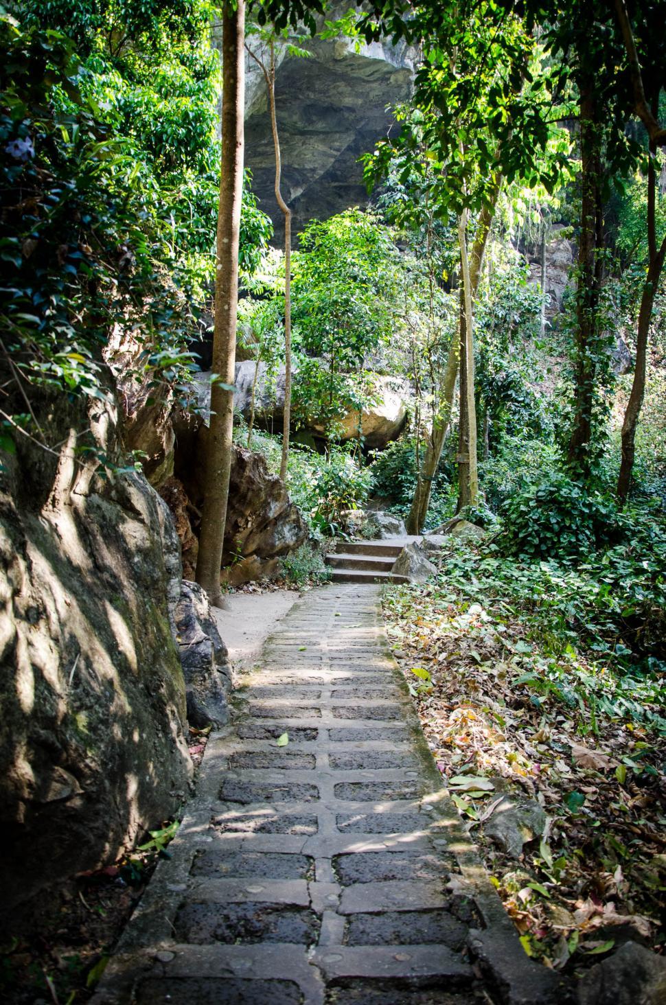 Free Image of In the wild 