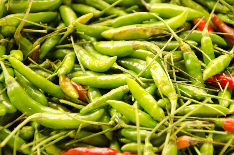 Free Stock Photo of Local Thai Chilli Download Free Images and Free Illustrations
