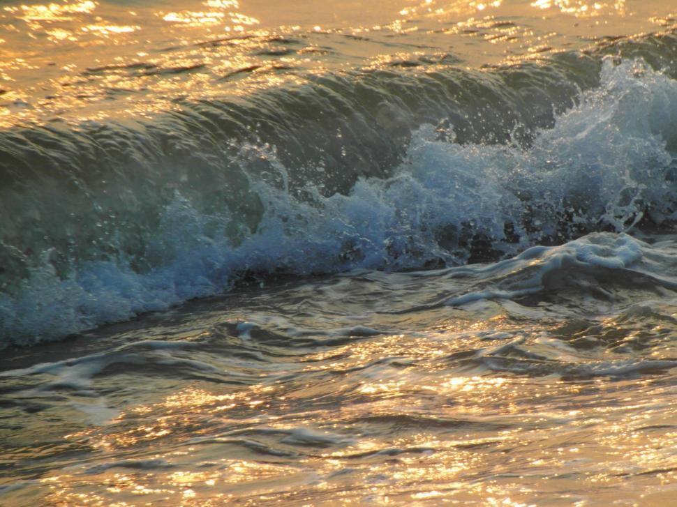 Free Image of Golden Wave 