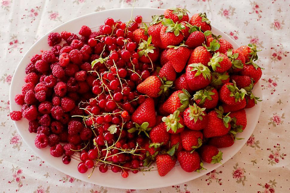 1,294,100+ Red Berries Stock Photos, Pictures & Royalty-Free