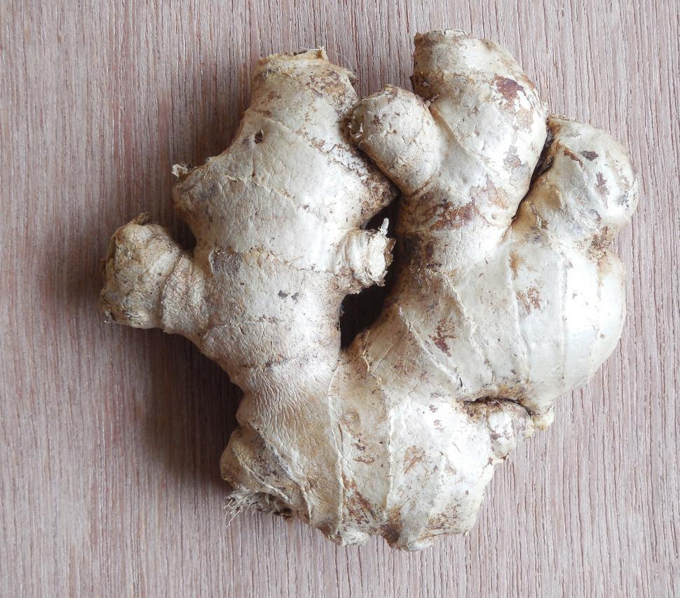 Free Image of Ginger 