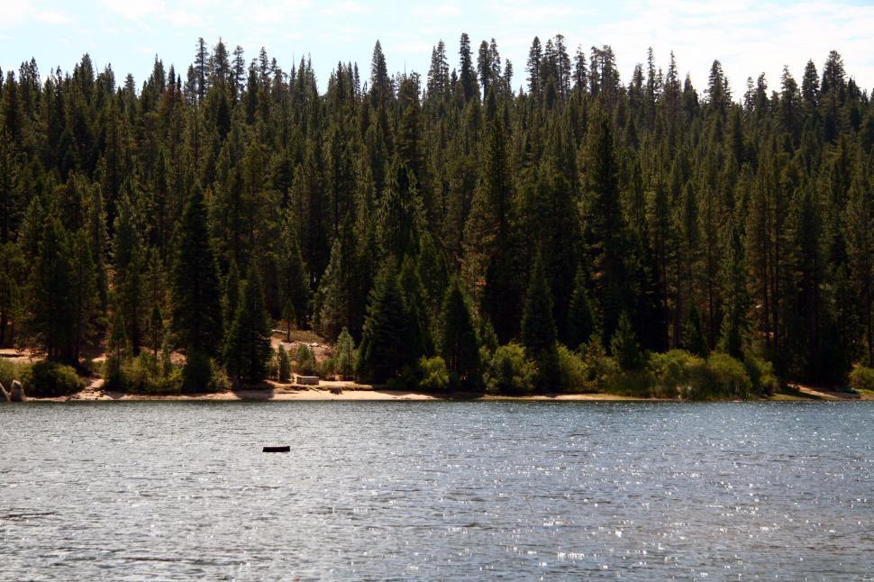 Free Image of Sequoia National Forest 