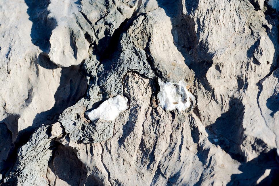 Free Image of Stone detail 