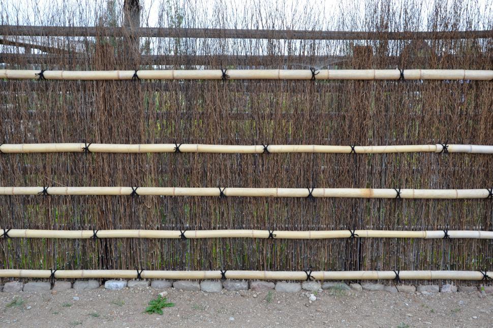 Free Image of Bamboo fence 