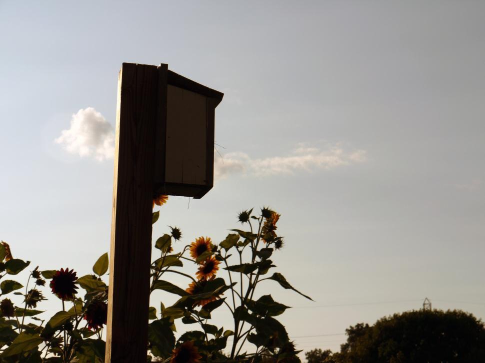 Free Image of BirdHouse 