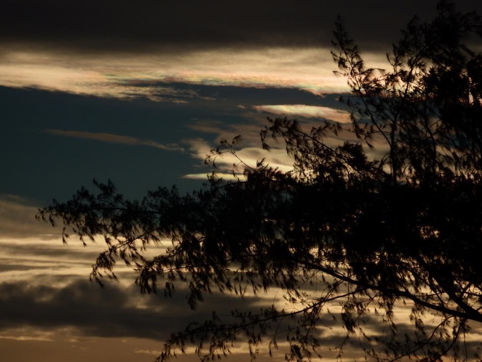 Free Image of Dark Skies Silhouette 