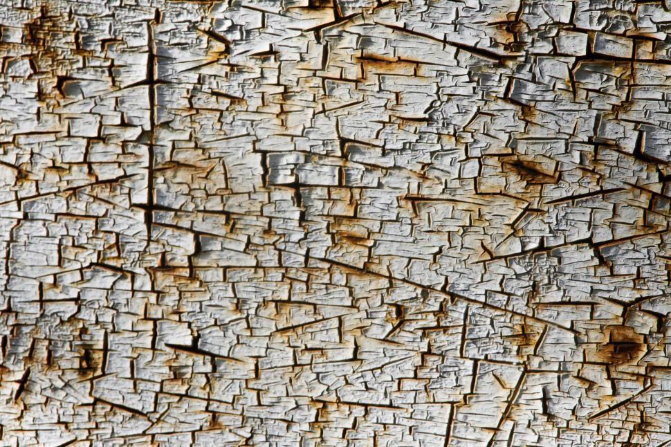 Cracked paint texture background. Detail of cracked paint texture