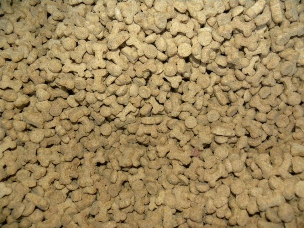 Free Image of Dog Food 