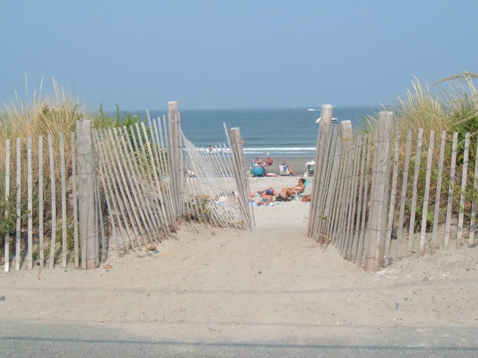 Free Image of Dog Days of Summer 