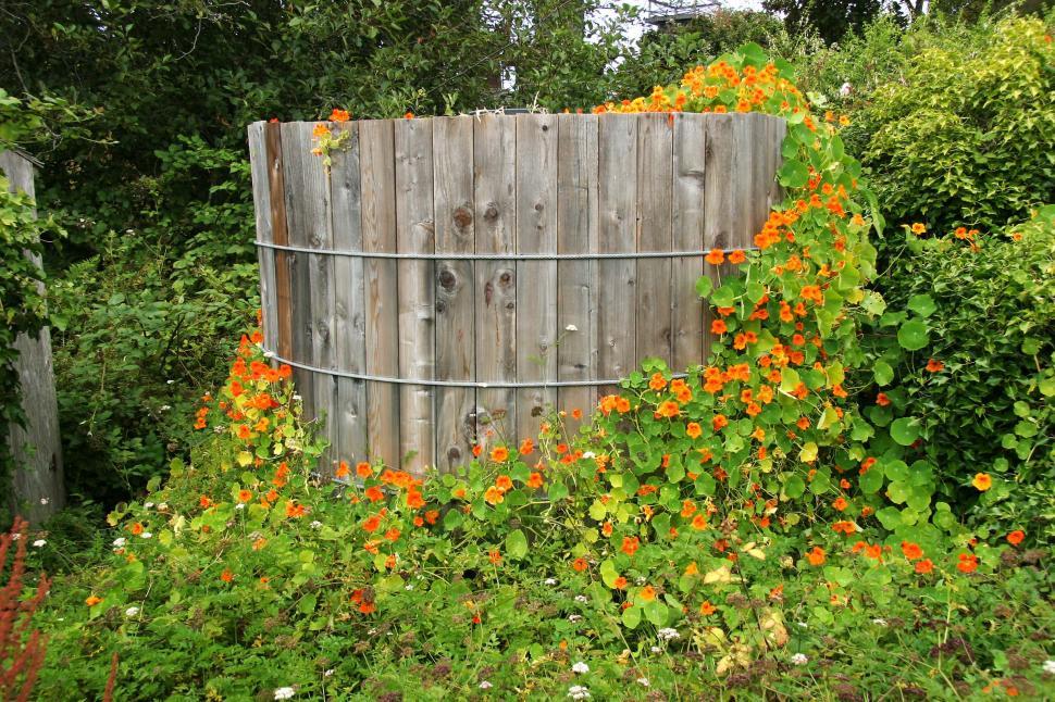 Free Stock Photo of tank water wood plank board cascade plant flower ...