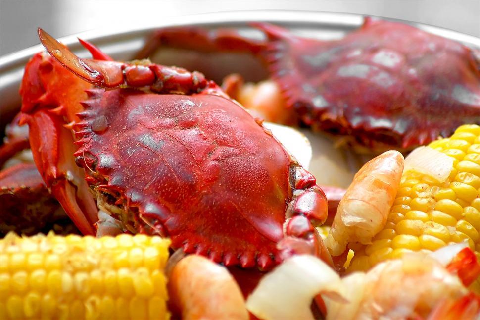 Free Stock Photo Of Crab Boil 2 Download Free Images And Free   Crab Boil 2 