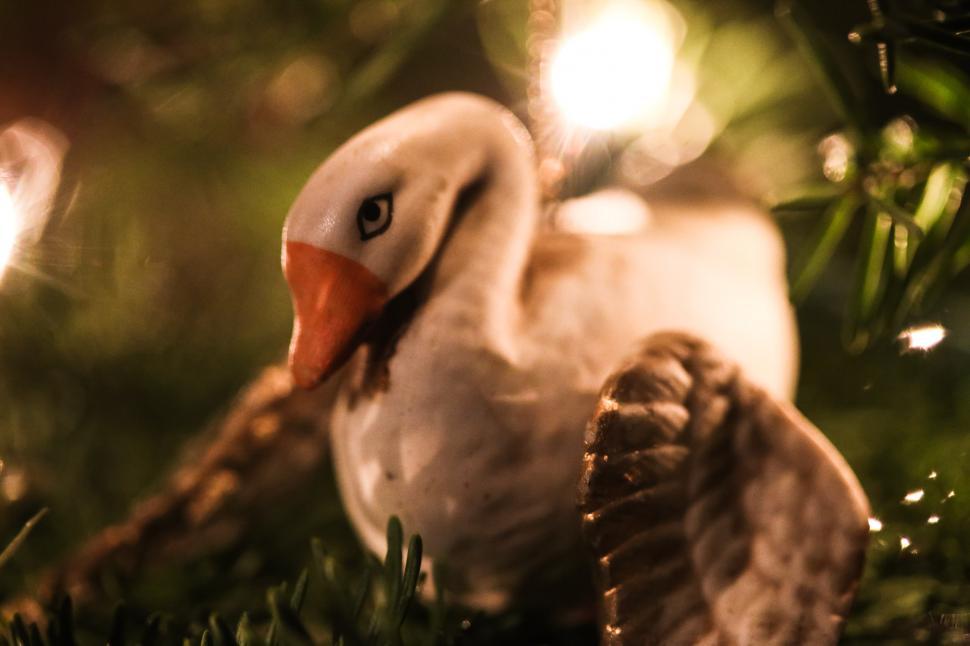 Free Image of White Swan Ornament 