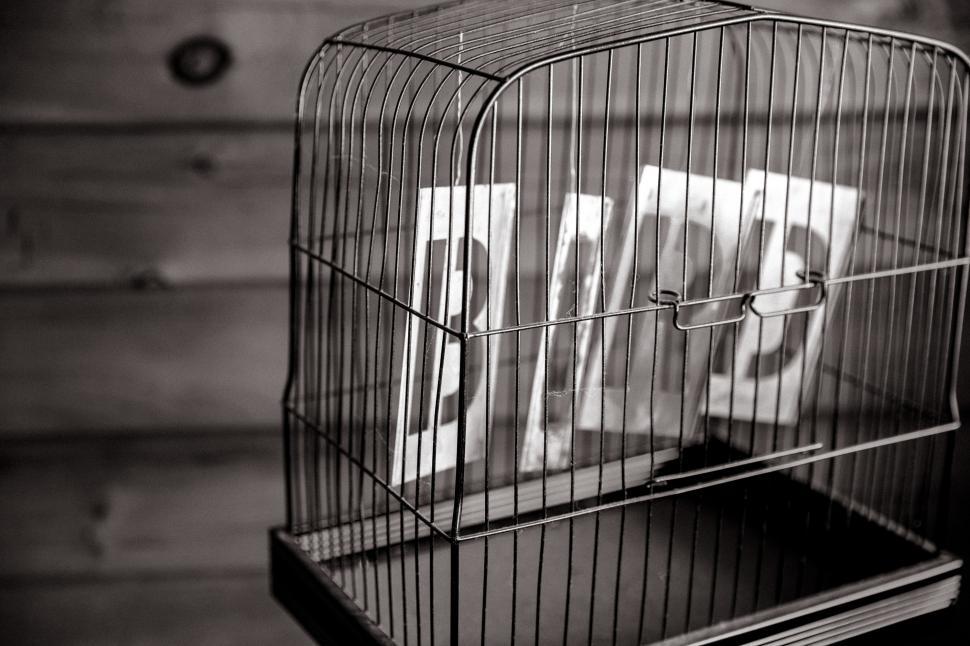 Free Stock Photo of B,I,R,D letters in a cage Download Free Images