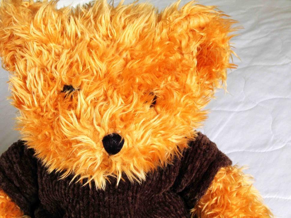 Free Image of Teddy bear 