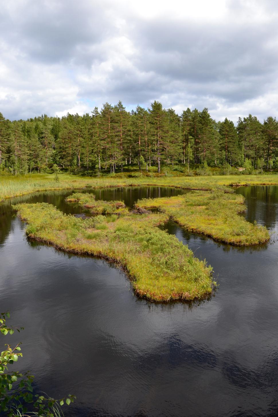 Free Image of Forest lake 