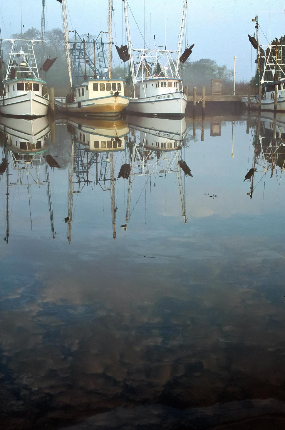 Free Image of Foggy Morning at the Marina 