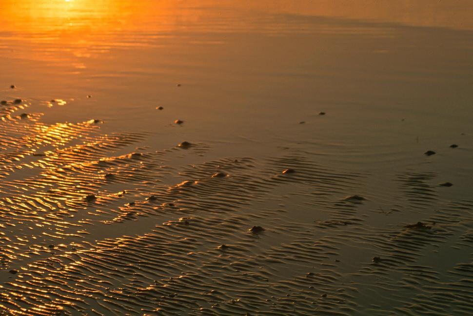 Free Image of Sandy Beach 