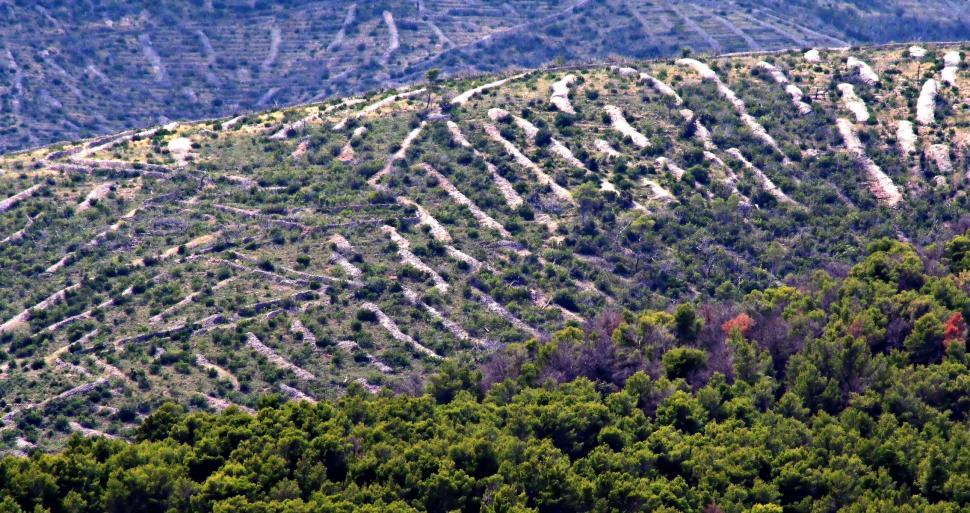 Free Image of Walls 