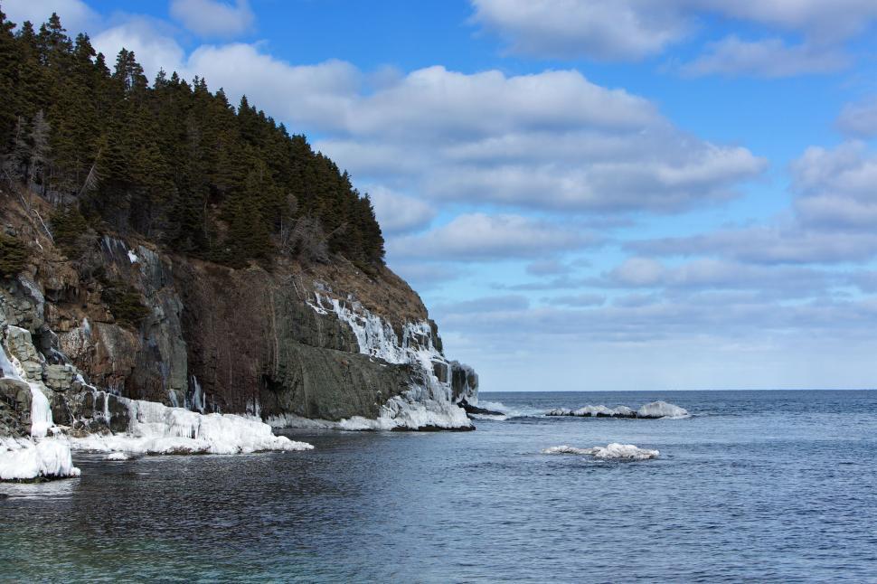Free Image of Bay with trees in winter 