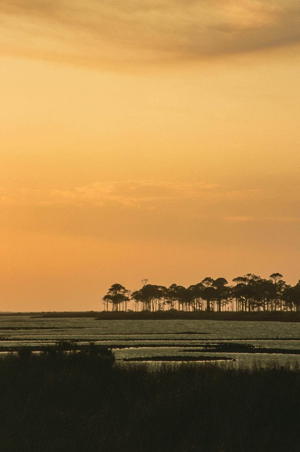 Free Image of St. George Island in Florida 