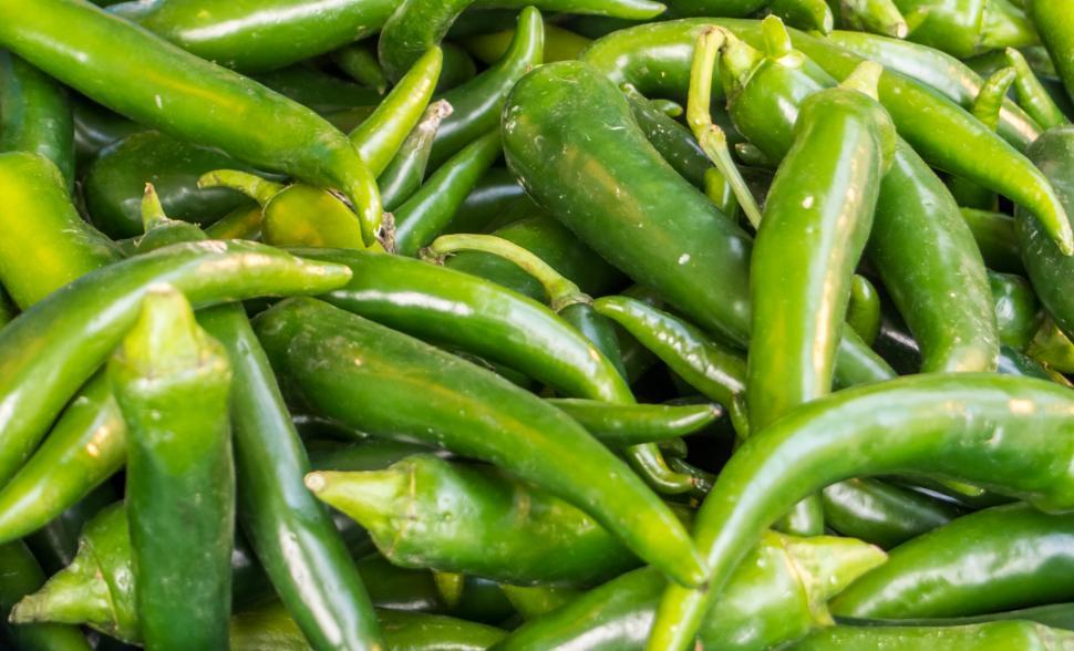 Free Stock Photo of spicy green hot chili peppers | Download Free ...