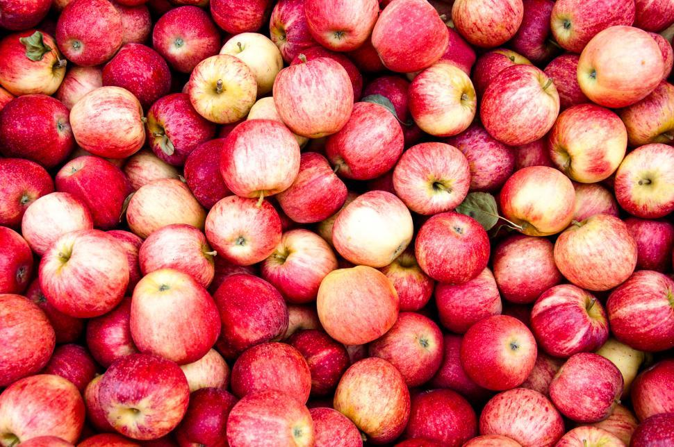 Bunch Of Royal Gala Apples Stock Photo - Download Image Now - Apple -  Fruit, Gala, White Background - iStock