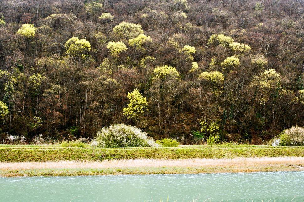 Free Image of By the river 