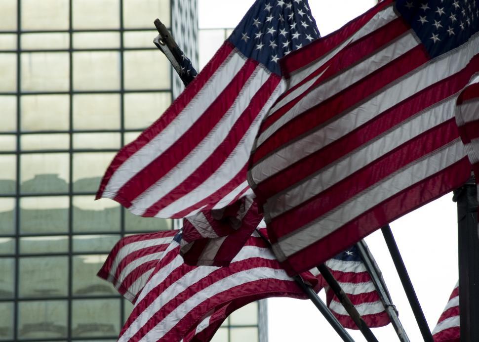 Free Image of American flags 