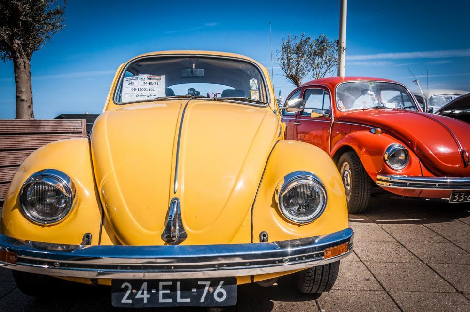 Volkswagen Beetle cars
