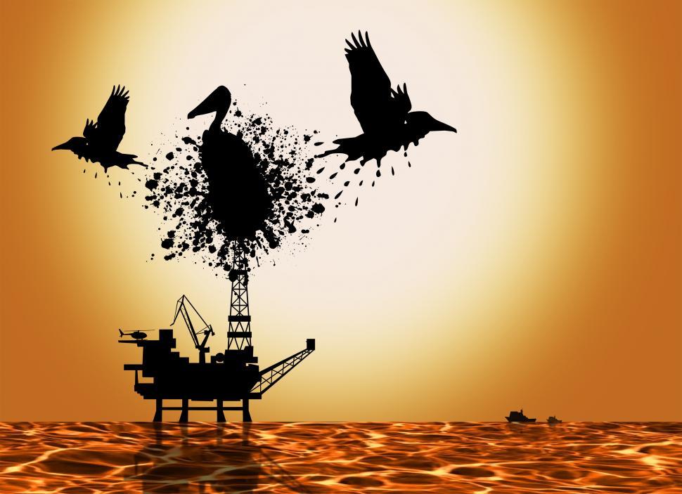 Free Stock Photo of Oil Spill Pollution Concept with Pelicans