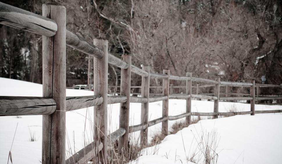 Free Image of Fence 